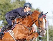 BICOCCHI Hialoubet Vassago GioCav2013 S6 7756 : BICOCCHI Emilio, Campionati Italiani Giovani Cavalli, Cattolica, Hialoubet Vassago, ph Stefano Secchi ©